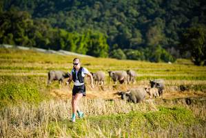 BIB: 
                            <button type="button" onclick="openModal(19127494)" class="btn btn-primary btn-sm float-right btn-popup" data-toggle="modal" data-target=".modal-high-quality">
                        <i class="fas fa-shopping-cart"></i> Add to Cart
                    </button>
                                            <button type="button" onclick="isThisMe(19127494, true)" class="btn btn-success btn-sm float-right btn-popup btn-isme hidden" data-toggle="tooltip" data-placement="bottom" title="นี่คือรูปของคุณใช่ไหม คลิกที่นี่เพื่อเอาเข้าอัลบั้ม">
                        <i class="fas fa-plus"></i> Add to album
                    </button>
                    <button type="button" onclick="isThisMe(19127494, false)" class="btn btn-warning btn-sm float-right btn-popup btn-isnotme hidden">
                        <i class="fas fa-ban"></i> Remove from album
                    </button>