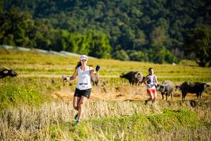 BIB: 
                            <button type="button" onclick="openModal(19127525)" class="btn btn-primary btn-sm float-right btn-popup" data-toggle="modal" data-target=".modal-high-quality">
                        <i class="fas fa-shopping-cart"></i> Add to Cart
                    </button>
                                            <button type="button" onclick="isThisMe(19127525, true)" class="btn btn-success btn-sm float-right btn-popup btn-isme hidden" data-toggle="tooltip" data-placement="bottom" title="นี่คือรูปของคุณใช่ไหม คลิกที่นี่เพื่อเอาเข้าอัลบั้ม">
                        <i class="fas fa-plus"></i> Add to album
                    </button>
                    <button type="button" onclick="isThisMe(19127525, false)" class="btn btn-warning btn-sm float-right btn-popup btn-isnotme hidden">
                        <i class="fas fa-ban"></i> Remove from album
                    </button>