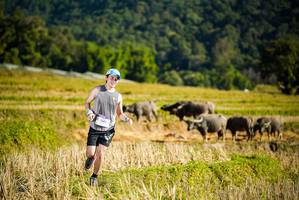 BIB: 
                            <button type="button" onclick="openModal(19127672)" class="btn btn-primary btn-sm float-right btn-popup" data-toggle="modal" data-target=".modal-high-quality">
                        <i class="fas fa-shopping-cart"></i> Add to Cart
                    </button>
                                            <button type="button" onclick="isThisMe(19127672, true)" class="btn btn-success btn-sm float-right btn-popup btn-isme hidden" data-toggle="tooltip" data-placement="bottom" title="นี่คือรูปของคุณใช่ไหม คลิกที่นี่เพื่อเอาเข้าอัลบั้ม">
                        <i class="fas fa-plus"></i> Add to album
                    </button>
                    <button type="button" onclick="isThisMe(19127672, false)" class="btn btn-warning btn-sm float-right btn-popup btn-isnotme hidden">
                        <i class="fas fa-ban"></i> Remove from album
                    </button>