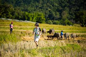 BIB: 
                            <button type="button" onclick="openModal(19128292)" class="btn btn-primary btn-sm float-right btn-popup" data-toggle="modal" data-target=".modal-high-quality">
                        <i class="fas fa-shopping-cart"></i> Add to Cart
                    </button>
                                            <button type="button" onclick="isThisMe(19128292, true)" class="btn btn-success btn-sm float-right btn-popup btn-isme hidden" data-toggle="tooltip" data-placement="bottom" title="นี่คือรูปของคุณใช่ไหม คลิกที่นี่เพื่อเอาเข้าอัลบั้ม">
                        <i class="fas fa-plus"></i> Add to album
                    </button>
                    <button type="button" onclick="isThisMe(19128292, false)" class="btn btn-warning btn-sm float-right btn-popup btn-isnotme hidden">
                        <i class="fas fa-ban"></i> Remove from album
                    </button>