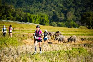 BIB: 
                            <button type="button" onclick="openModal(19128046)" class="btn btn-primary btn-sm float-right btn-popup" data-toggle="modal" data-target=".modal-high-quality">
                        <i class="fas fa-shopping-cart"></i> Add to Cart
                    </button>
                                            <button type="button" onclick="isThisMe(19128046, true)" class="btn btn-success btn-sm float-right btn-popup btn-isme hidden" data-toggle="tooltip" data-placement="bottom" title="นี่คือรูปของคุณใช่ไหม คลิกที่นี่เพื่อเอาเข้าอัลบั้ม">
                        <i class="fas fa-plus"></i> Add to album
                    </button>
                    <button type="button" onclick="isThisMe(19128046, false)" class="btn btn-warning btn-sm float-right btn-popup btn-isnotme hidden">
                        <i class="fas fa-ban"></i> Remove from album
                    </button>