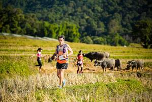 BIB: 
                            <button type="button" onclick="openModal(19127703)" class="btn btn-primary btn-sm float-right btn-popup" data-toggle="modal" data-target=".modal-high-quality">
                        <i class="fas fa-shopping-cart"></i> Add to Cart
                    </button>
                                            <button type="button" onclick="isThisMe(19127703, true)" class="btn btn-success btn-sm float-right btn-popup btn-isme hidden" data-toggle="tooltip" data-placement="bottom" title="นี่คือรูปของคุณใช่ไหม คลิกที่นี่เพื่อเอาเข้าอัลบั้ม">
                        <i class="fas fa-plus"></i> Add to album
                    </button>
                    <button type="button" onclick="isThisMe(19127703, false)" class="btn btn-warning btn-sm float-right btn-popup btn-isnotme hidden">
                        <i class="fas fa-ban"></i> Remove from album
                    </button>