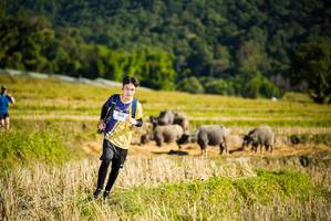 BIB: 1929
                            <button type="button" onclick="openModal(19128007)" class="btn btn-primary btn-sm float-right btn-popup" data-toggle="modal" data-target=".modal-high-quality">
                        <i class="fas fa-shopping-cart"></i> Add to Cart
                    </button>
                                            <button type="button" onclick="isThisMe(19128007, true)" class="btn btn-success btn-sm float-right btn-popup btn-isme hidden" data-toggle="tooltip" data-placement="bottom" title="นี่คือรูปของคุณใช่ไหม คลิกที่นี่เพื่อเอาเข้าอัลบั้ม">
                        <i class="fas fa-plus"></i> Add to album
                    </button>
                    <button type="button" onclick="isThisMe(19128007, false)" class="btn btn-warning btn-sm float-right btn-popup btn-isnotme hidden">
                        <i class="fas fa-ban"></i> Remove from album
                    </button>