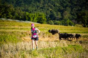 BIB: 
                            <button type="button" onclick="openModal(19128279)" class="btn btn-primary btn-sm float-right btn-popup" data-toggle="modal" data-target=".modal-high-quality">
                        <i class="fas fa-shopping-cart"></i> Add to Cart
                    </button>
                                            <button type="button" onclick="isThisMe(19128279, true)" class="btn btn-success btn-sm float-right btn-popup btn-isme hidden" data-toggle="tooltip" data-placement="bottom" title="นี่คือรูปของคุณใช่ไหม คลิกที่นี่เพื่อเอาเข้าอัลบั้ม">
                        <i class="fas fa-plus"></i> Add to album
                    </button>
                    <button type="button" onclick="isThisMe(19128279, false)" class="btn btn-warning btn-sm float-right btn-popup btn-isnotme hidden">
                        <i class="fas fa-ban"></i> Remove from album
                    </button>