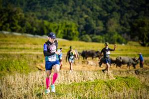 BIB: 1016
                            <button type="button" onclick="openModal(19128319)" class="btn btn-primary btn-sm float-right btn-popup" data-toggle="modal" data-target=".modal-high-quality">
                        <i class="fas fa-shopping-cart"></i> Add to Cart
                    </button>
                                            <button type="button" onclick="isThisMe(19128319, true)" class="btn btn-success btn-sm float-right btn-popup btn-isme hidden" data-toggle="tooltip" data-placement="bottom" title="นี่คือรูปของคุณใช่ไหม คลิกที่นี่เพื่อเอาเข้าอัลบั้ม">
                        <i class="fas fa-plus"></i> Add to album
                    </button>
                    <button type="button" onclick="isThisMe(19128319, false)" class="btn btn-warning btn-sm float-right btn-popup btn-isnotme hidden">
                        <i class="fas fa-ban"></i> Remove from album
                    </button>