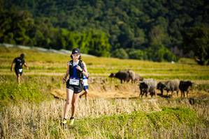 BIB: 1063, 
                            <button type="button" onclick="openModal(19128248)" class="btn btn-primary btn-sm float-right btn-popup" data-toggle="modal" data-target=".modal-high-quality">
                        <i class="fas fa-shopping-cart"></i> Add to Cart
                    </button>
                                            <button type="button" onclick="isThisMe(19128248, true)" class="btn btn-success btn-sm float-right btn-popup btn-isme hidden" data-toggle="tooltip" data-placement="bottom" title="นี่คือรูปของคุณใช่ไหม คลิกที่นี่เพื่อเอาเข้าอัลบั้ม">
                        <i class="fas fa-plus"></i> Add to album
                    </button>
                    <button type="button" onclick="isThisMe(19128248, false)" class="btn btn-warning btn-sm float-right btn-popup btn-isnotme hidden">
                        <i class="fas fa-ban"></i> Remove from album
                    </button>