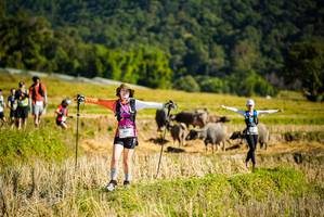 BIB: 
                            <button type="button" onclick="openModal(19128060)" class="btn btn-primary btn-sm float-right btn-popup" data-toggle="modal" data-target=".modal-high-quality">
                        <i class="fas fa-shopping-cart"></i> Add to Cart
                    </button>
                                            <button type="button" onclick="isThisMe(19128060, true)" class="btn btn-success btn-sm float-right btn-popup btn-isme hidden" data-toggle="tooltip" data-placement="bottom" title="นี่คือรูปของคุณใช่ไหม คลิกที่นี่เพื่อเอาเข้าอัลบั้ม">
                        <i class="fas fa-plus"></i> Add to album
                    </button>
                    <button type="button" onclick="isThisMe(19128060, false)" class="btn btn-warning btn-sm float-right btn-popup btn-isnotme hidden">
                        <i class="fas fa-ban"></i> Remove from album
                    </button>