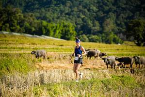 BIB: 
                            <button type="button" onclick="openModal(19127609)" class="btn btn-primary btn-sm float-right btn-popup" data-toggle="modal" data-target=".modal-high-quality">
                        <i class="fas fa-shopping-cart"></i> Add to Cart
                    </button>
                                            <button type="button" onclick="isThisMe(19127609, true)" class="btn btn-success btn-sm float-right btn-popup btn-isme hidden" data-toggle="tooltip" data-placement="bottom" title="นี่คือรูปของคุณใช่ไหม คลิกที่นี่เพื่อเอาเข้าอัลบั้ม">
                        <i class="fas fa-plus"></i> Add to album
                    </button>
                    <button type="button" onclick="isThisMe(19127609, false)" class="btn btn-warning btn-sm float-right btn-popup btn-isnotme hidden">
                        <i class="fas fa-ban"></i> Remove from album
                    </button>