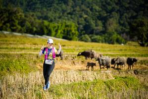 BIB: 1479
                            <button type="button" onclick="openModal(19128217)" class="btn btn-primary btn-sm float-right btn-popup" data-toggle="modal" data-target=".modal-high-quality">
                        <i class="fas fa-shopping-cart"></i> Add to Cart
                    </button>
                                            <button type="button" onclick="isThisMe(19128217, true)" class="btn btn-success btn-sm float-right btn-popup btn-isme hidden" data-toggle="tooltip" data-placement="bottom" title="นี่คือรูปของคุณใช่ไหม คลิกที่นี่เพื่อเอาเข้าอัลบั้ม">
                        <i class="fas fa-plus"></i> Add to album
                    </button>
                    <button type="button" onclick="isThisMe(19128217, false)" class="btn btn-warning btn-sm float-right btn-popup btn-isnotme hidden">
                        <i class="fas fa-ban"></i> Remove from album
                    </button>