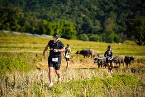 BIB: 559
                            <button type="button" onclick="openModal(19128256)" class="btn btn-primary btn-sm float-right btn-popup" data-toggle="modal" data-target=".modal-high-quality">
                        <i class="fas fa-shopping-cart"></i> Add to Cart
                    </button>
                                            <button type="button" onclick="isThisMe(19128256, true)" class="btn btn-success btn-sm float-right btn-popup btn-isme hidden" data-toggle="tooltip" data-placement="bottom" title="นี่คือรูปของคุณใช่ไหม คลิกที่นี่เพื่อเอาเข้าอัลบั้ม">
                        <i class="fas fa-plus"></i> Add to album
                    </button>
                    <button type="button" onclick="isThisMe(19128256, false)" class="btn btn-warning btn-sm float-right btn-popup btn-isnotme hidden">
                        <i class="fas fa-ban"></i> Remove from album
                    </button>