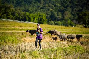 BIB: 
                            <button type="button" onclick="openModal(19128219)" class="btn btn-primary btn-sm float-right btn-popup" data-toggle="modal" data-target=".modal-high-quality">
                        <i class="fas fa-shopping-cart"></i> Add to Cart
                    </button>
                                            <button type="button" onclick="isThisMe(19128219, true)" class="btn btn-success btn-sm float-right btn-popup btn-isme hidden" data-toggle="tooltip" data-placement="bottom" title="นี่คือรูปของคุณใช่ไหม คลิกที่นี่เพื่อเอาเข้าอัลบั้ม">
                        <i class="fas fa-plus"></i> Add to album
                    </button>
                    <button type="button" onclick="isThisMe(19128219, false)" class="btn btn-warning btn-sm float-right btn-popup btn-isnotme hidden">
                        <i class="fas fa-ban"></i> Remove from album
                    </button>