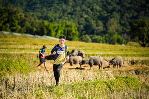 BIB: 1329
                            <button type="button" onclick="openModal(19128005)" class="btn btn-primary btn-sm float-right btn-popup" data-toggle="modal" data-target=".modal-high-quality">
                        <i class="fas fa-shopping-cart"></i> Add to Cart
                    </button>
                                            <button type="button" onclick="isThisMe(19128005, true)" class="btn btn-success btn-sm float-right btn-popup btn-isme hidden" data-toggle="tooltip" data-placement="bottom" title="นี่คือรูปของคุณใช่ไหม คลิกที่นี่เพื่อเอาเข้าอัลบั้ม">
                        <i class="fas fa-plus"></i> Add to album
                    </button>
                    <button type="button" onclick="isThisMe(19128005, false)" class="btn btn-warning btn-sm float-right btn-popup btn-isnotme hidden">
                        <i class="fas fa-ban"></i> Remove from album
                    </button>