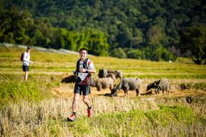 BIB: 2012
                            <button type="button" onclick="openModal(19127993)" class="btn btn-primary btn-sm float-right btn-popup" data-toggle="modal" data-target=".modal-high-quality">
                        <i class="fas fa-shopping-cart"></i> Add to Cart
                    </button>
                                            <button type="button" onclick="isThisMe(19127993, true)" class="btn btn-success btn-sm float-right btn-popup btn-isme hidden" data-toggle="tooltip" data-placement="bottom" title="นี่คือรูปของคุณใช่ไหม คลิกที่นี่เพื่อเอาเข้าอัลบั้ม">
                        <i class="fas fa-plus"></i> Add to album
                    </button>
                    <button type="button" onclick="isThisMe(19127993, false)" class="btn btn-warning btn-sm float-right btn-popup btn-isnotme hidden">
                        <i class="fas fa-ban"></i> Remove from album
                    </button>