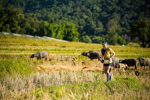 BIB: 
                            <button type="button" onclick="openModal(19127574)" class="btn btn-primary btn-sm float-right btn-popup" data-toggle="modal" data-target=".modal-high-quality">
                        <i class="fas fa-shopping-cart"></i> Add to Cart
                    </button>
                                            <button type="button" onclick="isThisMe(19127574, true)" class="btn btn-success btn-sm float-right btn-popup btn-isme hidden" data-toggle="tooltip" data-placement="bottom" title="นี่คือรูปของคุณใช่ไหม คลิกที่นี่เพื่อเอาเข้าอัลบั้ม">
                        <i class="fas fa-plus"></i> Add to album
                    </button>
                    <button type="button" onclick="isThisMe(19127574, false)" class="btn btn-warning btn-sm float-right btn-popup btn-isnotme hidden">
                        <i class="fas fa-ban"></i> Remove from album
                    </button>