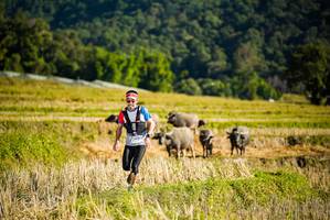 BIB: 
                            <button type="button" onclick="openModal(19127427)" class="btn btn-primary btn-sm float-right btn-popup" data-toggle="modal" data-target=".modal-high-quality">
                        <i class="fas fa-shopping-cart"></i> Add to Cart
                    </button>
                                            <button type="button" onclick="isThisMe(19127427, true)" class="btn btn-success btn-sm float-right btn-popup btn-isme hidden" data-toggle="tooltip" data-placement="bottom" title="นี่คือรูปของคุณใช่ไหม คลิกที่นี่เพื่อเอาเข้าอัลบั้ม">
                        <i class="fas fa-plus"></i> Add to album
                    </button>
                    <button type="button" onclick="isThisMe(19127427, false)" class="btn btn-warning btn-sm float-right btn-popup btn-isnotme hidden">
                        <i class="fas fa-ban"></i> Remove from album
                    </button>