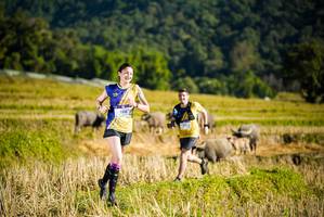 BIB: 1516
                            <button type="button" onclick="openModal(19127483)" class="btn btn-primary btn-sm float-right btn-popup" data-toggle="modal" data-target=".modal-high-quality">
                        <i class="fas fa-shopping-cart"></i> Add to Cart
                    </button>
                                            <button type="button" onclick="isThisMe(19127483, true)" class="btn btn-success btn-sm float-right btn-popup btn-isme hidden" data-toggle="tooltip" data-placement="bottom" title="นี่คือรูปของคุณใช่ไหม คลิกที่นี่เพื่อเอาเข้าอัลบั้ม">
                        <i class="fas fa-plus"></i> Add to album
                    </button>
                    <button type="button" onclick="isThisMe(19127483, false)" class="btn btn-warning btn-sm float-right btn-popup btn-isnotme hidden">
                        <i class="fas fa-ban"></i> Remove from album
                    </button>