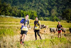 BIB: 1037
                            <button type="button" onclick="openModal(19127893)" class="btn btn-primary btn-sm float-right btn-popup" data-toggle="modal" data-target=".modal-high-quality">
                        <i class="fas fa-shopping-cart"></i> Add to Cart
                    </button>
                                            <button type="button" onclick="isThisMe(19127893, true)" class="btn btn-success btn-sm float-right btn-popup btn-isme hidden" data-toggle="tooltip" data-placement="bottom" title="นี่คือรูปของคุณใช่ไหม คลิกที่นี่เพื่อเอาเข้าอัลบั้ม">
                        <i class="fas fa-plus"></i> Add to album
                    </button>
                    <button type="button" onclick="isThisMe(19127893, false)" class="btn btn-warning btn-sm float-right btn-popup btn-isnotme hidden">
                        <i class="fas fa-ban"></i> Remove from album
                    </button>