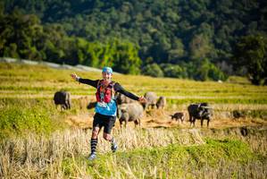 BIB: 
                            <button type="button" onclick="openModal(19127452)" class="btn btn-primary btn-sm float-right btn-popup" data-toggle="modal" data-target=".modal-high-quality">
                        <i class="fas fa-shopping-cart"></i> Add to Cart
                    </button>
                                            <button type="button" onclick="isThisMe(19127452, true)" class="btn btn-success btn-sm float-right btn-popup btn-isme hidden" data-toggle="tooltip" data-placement="bottom" title="นี่คือรูปของคุณใช่ไหม คลิกที่นี่เพื่อเอาเข้าอัลบั้ม">
                        <i class="fas fa-plus"></i> Add to album
                    </button>
                    <button type="button" onclick="isThisMe(19127452, false)" class="btn btn-warning btn-sm float-right btn-popup btn-isnotme hidden">
                        <i class="fas fa-ban"></i> Remove from album
                    </button>