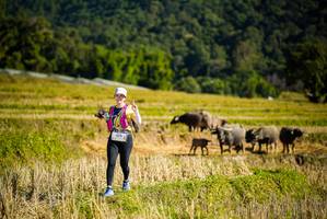 BIB: 14029
                            <button type="button" onclick="openModal(19128215)" class="btn btn-primary btn-sm float-right btn-popup" data-toggle="modal" data-target=".modal-high-quality">
                        <i class="fas fa-shopping-cart"></i> Add to Cart
                    </button>
                                            <button type="button" onclick="isThisMe(19128215, true)" class="btn btn-success btn-sm float-right btn-popup btn-isme hidden" data-toggle="tooltip" data-placement="bottom" title="นี่คือรูปของคุณใช่ไหม คลิกที่นี่เพื่อเอาเข้าอัลบั้ม">
                        <i class="fas fa-plus"></i> Add to album
                    </button>
                    <button type="button" onclick="isThisMe(19128215, false)" class="btn btn-warning btn-sm float-right btn-popup btn-isnotme hidden">
                        <i class="fas fa-ban"></i> Remove from album
                    </button>