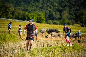 BIB: 
                            <button type="button" onclick="openModal(19128315)" class="btn btn-primary btn-sm float-right btn-popup" data-toggle="modal" data-target=".modal-high-quality">
                        <i class="fas fa-shopping-cart"></i> Add to Cart
                    </button>
                                            <button type="button" onclick="isThisMe(19128315, true)" class="btn btn-success btn-sm float-right btn-popup btn-isme hidden" data-toggle="tooltip" data-placement="bottom" title="นี่คือรูปของคุณใช่ไหม คลิกที่นี่เพื่อเอาเข้าอัลบั้ม">
                        <i class="fas fa-plus"></i> Add to album
                    </button>
                    <button type="button" onclick="isThisMe(19128315, false)" class="btn btn-warning btn-sm float-right btn-popup btn-isnotme hidden">
                        <i class="fas fa-ban"></i> Remove from album
                    </button>