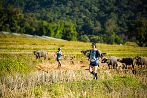 BIB: 
                            <button type="button" onclick="openModal(19127591)" class="btn btn-primary btn-sm float-right btn-popup" data-toggle="modal" data-target=".modal-high-quality">
                        <i class="fas fa-shopping-cart"></i> Add to Cart
                    </button>
                                            <button type="button" onclick="isThisMe(19127591, true)" class="btn btn-success btn-sm float-right btn-popup btn-isme hidden" data-toggle="tooltip" data-placement="bottom" title="นี่คือรูปของคุณใช่ไหม คลิกที่นี่เพื่อเอาเข้าอัลบั้ม">
                        <i class="fas fa-plus"></i> Add to album
                    </button>
                    <button type="button" onclick="isThisMe(19127591, false)" class="btn btn-warning btn-sm float-right btn-popup btn-isnotme hidden">
                        <i class="fas fa-ban"></i> Remove from album
                    </button>