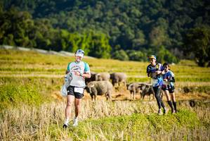 BIB: 
                            <button type="button" onclick="openModal(19127430)" class="btn btn-primary btn-sm float-right btn-popup" data-toggle="modal" data-target=".modal-high-quality">
                        <i class="fas fa-shopping-cart"></i> Add to Cart
                    </button>
                                            <button type="button" onclick="isThisMe(19127430, true)" class="btn btn-success btn-sm float-right btn-popup btn-isme hidden" data-toggle="tooltip" data-placement="bottom" title="นี่คือรูปของคุณใช่ไหม คลิกที่นี่เพื่อเอาเข้าอัลบั้ม">
                        <i class="fas fa-plus"></i> Add to album
                    </button>
                    <button type="button" onclick="isThisMe(19127430, false)" class="btn btn-warning btn-sm float-right btn-popup btn-isnotme hidden">
                        <i class="fas fa-ban"></i> Remove from album
                    </button>