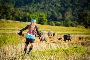 BIB: 
                            <button type="button" onclick="openModal(19127454)" class="btn btn-primary btn-sm float-right btn-popup" data-toggle="modal" data-target=".modal-high-quality">
                        <i class="fas fa-shopping-cart"></i> Add to Cart
                    </button>
                                            <button type="button" onclick="isThisMe(19127454, true)" class="btn btn-success btn-sm float-right btn-popup btn-isme hidden" data-toggle="tooltip" data-placement="bottom" title="นี่คือรูปของคุณใช่ไหม คลิกที่นี่เพื่อเอาเข้าอัลบั้ม">
                        <i class="fas fa-plus"></i> Add to album
                    </button>
                    <button type="button" onclick="isThisMe(19127454, false)" class="btn btn-warning btn-sm float-right btn-popup btn-isnotme hidden">
                        <i class="fas fa-ban"></i> Remove from album
                    </button>