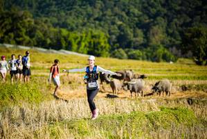 BIB: 104
                            <button type="button" onclick="openModal(19128068)" class="btn btn-primary btn-sm float-right btn-popup" data-toggle="modal" data-target=".modal-high-quality">
                        <i class="fas fa-shopping-cart"></i> Add to Cart
                    </button>
                                            <button type="button" onclick="isThisMe(19128068, true)" class="btn btn-success btn-sm float-right btn-popup btn-isme hidden" data-toggle="tooltip" data-placement="bottom" title="นี่คือรูปของคุณใช่ไหม คลิกที่นี่เพื่อเอาเข้าอัลบั้ม">
                        <i class="fas fa-plus"></i> Add to album
                    </button>
                    <button type="button" onclick="isThisMe(19128068, false)" class="btn btn-warning btn-sm float-right btn-popup btn-isnotme hidden">
                        <i class="fas fa-ban"></i> Remove from album
                    </button>