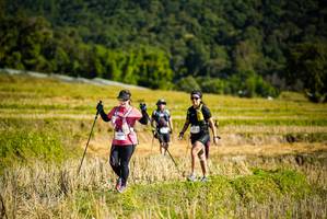 BIB: 1087
                            <button type="button" onclick="openModal(19129574)" class="btn btn-primary btn-sm float-right btn-popup" data-toggle="modal" data-target=".modal-high-quality">
                        <i class="fas fa-shopping-cart"></i> Add to Cart
                    </button>
                                            <button type="button" onclick="isThisMe(19129574, true)" class="btn btn-success btn-sm float-right btn-popup btn-isme hidden" data-toggle="tooltip" data-placement="bottom" title="นี่คือรูปของคุณใช่ไหม คลิกที่นี่เพื่อเอาเข้าอัลบั้ม">
                        <i class="fas fa-plus"></i> Add to album
                    </button>
                    <button type="button" onclick="isThisMe(19129574, false)" class="btn btn-warning btn-sm float-right btn-popup btn-isnotme hidden">
                        <i class="fas fa-ban"></i> Remove from album
                    </button>