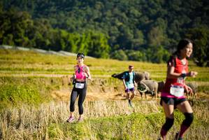 BIB: 
                            <button type="button" onclick="openModal(19127712)" class="btn btn-primary btn-sm float-right btn-popup" data-toggle="modal" data-target=".modal-high-quality">
                        <i class="fas fa-shopping-cart"></i> Add to Cart
                    </button>
                                            <button type="button" onclick="isThisMe(19127712, true)" class="btn btn-success btn-sm float-right btn-popup btn-isme hidden" data-toggle="tooltip" data-placement="bottom" title="นี่คือรูปของคุณใช่ไหม คลิกที่นี่เพื่อเอาเข้าอัลบั้ม">
                        <i class="fas fa-plus"></i> Add to album
                    </button>
                    <button type="button" onclick="isThisMe(19127712, false)" class="btn btn-warning btn-sm float-right btn-popup btn-isnotme hidden">
                        <i class="fas fa-ban"></i> Remove from album
                    </button>