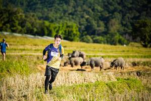 BIB: 
                            <button type="button" onclick="openModal(19128009)" class="btn btn-primary btn-sm float-right btn-popup" data-toggle="modal" data-target=".modal-high-quality">
                        <i class="fas fa-shopping-cart"></i> Add to Cart
                    </button>
                                            <button type="button" onclick="isThisMe(19128009, true)" class="btn btn-success btn-sm float-right btn-popup btn-isme hidden" data-toggle="tooltip" data-placement="bottom" title="นี่คือรูปของคุณใช่ไหม คลิกที่นี่เพื่อเอาเข้าอัลบั้ม">
                        <i class="fas fa-plus"></i> Add to album
                    </button>
                    <button type="button" onclick="isThisMe(19128009, false)" class="btn btn-warning btn-sm float-right btn-popup btn-isnotme hidden">
                        <i class="fas fa-ban"></i> Remove from album
                    </button>