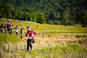 BIB: 1556, 
                            <button type="button" onclick="openModal(19128636)" class="btn btn-primary btn-sm float-right btn-popup" data-toggle="modal" data-target=".modal-high-quality">
                        <i class="fas fa-shopping-cart"></i> Add to Cart
                    </button>
                                            <button type="button" onclick="isThisMe(19128636, true)" class="btn btn-success btn-sm float-right btn-popup btn-isme hidden" data-toggle="tooltip" data-placement="bottom" title="นี่คือรูปของคุณใช่ไหม คลิกที่นี่เพื่อเอาเข้าอัลบั้ม">
                        <i class="fas fa-plus"></i> Add to album
                    </button>
                    <button type="button" onclick="isThisMe(19128636, false)" class="btn btn-warning btn-sm float-right btn-popup btn-isnotme hidden">
                        <i class="fas fa-ban"></i> Remove from album
                    </button>