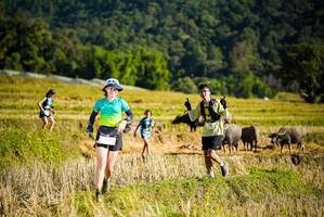 BIB: 
                            <button type="button" onclick="openModal(19127787)" class="btn btn-primary btn-sm float-right btn-popup" data-toggle="modal" data-target=".modal-high-quality">
                        <i class="fas fa-shopping-cart"></i> Add to Cart
                    </button>
                                            <button type="button" onclick="isThisMe(19127787, true)" class="btn btn-success btn-sm float-right btn-popup btn-isme hidden" data-toggle="tooltip" data-placement="bottom" title="นี่คือรูปของคุณใช่ไหม คลิกที่นี่เพื่อเอาเข้าอัลบั้ม">
                        <i class="fas fa-plus"></i> Add to album
                    </button>
                    <button type="button" onclick="isThisMe(19127787, false)" class="btn btn-warning btn-sm float-right btn-popup btn-isnotme hidden">
                        <i class="fas fa-ban"></i> Remove from album
                    </button>