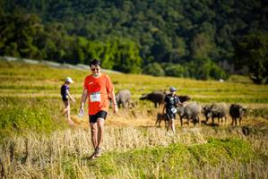 BIB: 156
                            <button type="button" onclick="openModal(19128187)" class="btn btn-primary btn-sm float-right btn-popup" data-toggle="modal" data-target=".modal-high-quality">
                        <i class="fas fa-shopping-cart"></i> Add to Cart
                    </button>
                                            <button type="button" onclick="isThisMe(19128187, true)" class="btn btn-success btn-sm float-right btn-popup btn-isme hidden" data-toggle="tooltip" data-placement="bottom" title="นี่คือรูปของคุณใช่ไหม คลิกที่นี่เพื่อเอาเข้าอัลบั้ม">
                        <i class="fas fa-plus"></i> Add to album
                    </button>
                    <button type="button" onclick="isThisMe(19128187, false)" class="btn btn-warning btn-sm float-right btn-popup btn-isnotme hidden">
                        <i class="fas fa-ban"></i> Remove from album
                    </button>