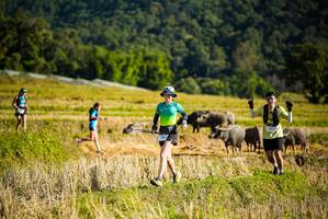 BIB: 
                            <button type="button" onclick="openModal(19127785)" class="btn btn-primary btn-sm float-right btn-popup" data-toggle="modal" data-target=".modal-high-quality">
                        <i class="fas fa-shopping-cart"></i> Add to Cart
                    </button>
                                            <button type="button" onclick="isThisMe(19127785, true)" class="btn btn-success btn-sm float-right btn-popup btn-isme hidden" data-toggle="tooltip" data-placement="bottom" title="นี่คือรูปของคุณใช่ไหม คลิกที่นี่เพื่อเอาเข้าอัลบั้ม">
                        <i class="fas fa-plus"></i> Add to album
                    </button>
                    <button type="button" onclick="isThisMe(19127785, false)" class="btn btn-warning btn-sm float-right btn-popup btn-isnotme hidden">
                        <i class="fas fa-ban"></i> Remove from album
                    </button>