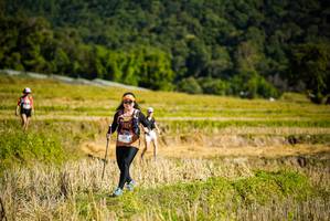 BIB: 505
                            <button type="button" onclick="openModal(19129693)" class="btn btn-primary btn-sm float-right btn-popup" data-toggle="modal" data-target=".modal-high-quality">
                        <i class="fas fa-shopping-cart"></i> Add to Cart
                    </button>
                                            <button type="button" onclick="isThisMe(19129693, true)" class="btn btn-success btn-sm float-right btn-popup btn-isme hidden" data-toggle="tooltip" data-placement="bottom" title="นี่คือรูปของคุณใช่ไหม คลิกที่นี่เพื่อเอาเข้าอัลบั้ม">
                        <i class="fas fa-plus"></i> Add to album
                    </button>
                    <button type="button" onclick="isThisMe(19129693, false)" class="btn btn-warning btn-sm float-right btn-popup btn-isnotme hidden">
                        <i class="fas fa-ban"></i> Remove from album
                    </button>