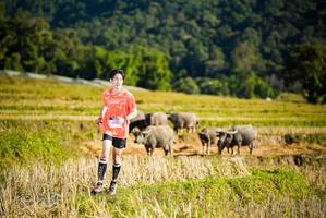 BIB: 
                            <button type="button" onclick="openModal(19127444)" class="btn btn-primary btn-sm float-right btn-popup" data-toggle="modal" data-target=".modal-high-quality">
                        <i class="fas fa-shopping-cart"></i> Add to Cart
                    </button>
                                            <button type="button" onclick="isThisMe(19127444, true)" class="btn btn-success btn-sm float-right btn-popup btn-isme hidden" data-toggle="tooltip" data-placement="bottom" title="นี่คือรูปของคุณใช่ไหม คลิกที่นี่เพื่อเอาเข้าอัลบั้ม">
                        <i class="fas fa-plus"></i> Add to album
                    </button>
                    <button type="button" onclick="isThisMe(19127444, false)" class="btn btn-warning btn-sm float-right btn-popup btn-isnotme hidden">
                        <i class="fas fa-ban"></i> Remove from album
                    </button>