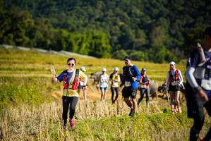 BIB: 
                            <button type="button" onclick="openModal(19128156)" class="btn btn-primary btn-sm float-right btn-popup" data-toggle="modal" data-target=".modal-high-quality">
                        <i class="fas fa-shopping-cart"></i> Add to Cart
                    </button>
                                            <button type="button" onclick="isThisMe(19128156, true)" class="btn btn-success btn-sm float-right btn-popup btn-isme hidden" data-toggle="tooltip" data-placement="bottom" title="นี่คือรูปของคุณใช่ไหม คลิกที่นี่เพื่อเอาเข้าอัลบั้ม">
                        <i class="fas fa-plus"></i> Add to album
                    </button>
                    <button type="button" onclick="isThisMe(19128156, false)" class="btn btn-warning btn-sm float-right btn-popup btn-isnotme hidden">
                        <i class="fas fa-ban"></i> Remove from album
                    </button>