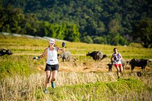 BIB: 
                            <button type="button" onclick="openModal(19127531)" class="btn btn-primary btn-sm float-right btn-popup" data-toggle="modal" data-target=".modal-high-quality">
                        <i class="fas fa-shopping-cart"></i> Add to Cart
                    </button>
                                            <button type="button" onclick="isThisMe(19127531, true)" class="btn btn-success btn-sm float-right btn-popup btn-isme hidden" data-toggle="tooltip" data-placement="bottom" title="นี่คือรูปของคุณใช่ไหม คลิกที่นี่เพื่อเอาเข้าอัลบั้ม">
                        <i class="fas fa-plus"></i> Add to album
                    </button>
                    <button type="button" onclick="isThisMe(19127531, false)" class="btn btn-warning btn-sm float-right btn-popup btn-isnotme hidden">
                        <i class="fas fa-ban"></i> Remove from album
                    </button>