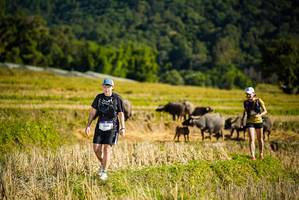 BIB: 149
                            <button type="button" onclick="openModal(19128195)" class="btn btn-primary btn-sm float-right btn-popup" data-toggle="modal" data-target=".modal-high-quality">
                        <i class="fas fa-shopping-cart"></i> Add to Cart
                    </button>
                                            <button type="button" onclick="isThisMe(19128195, true)" class="btn btn-success btn-sm float-right btn-popup btn-isme hidden" data-toggle="tooltip" data-placement="bottom" title="นี่คือรูปของคุณใช่ไหม คลิกที่นี่เพื่อเอาเข้าอัลบั้ม">
                        <i class="fas fa-plus"></i> Add to album
                    </button>
                    <button type="button" onclick="isThisMe(19128195, false)" class="btn btn-warning btn-sm float-right btn-popup btn-isnotme hidden">
                        <i class="fas fa-ban"></i> Remove from album
                    </button>