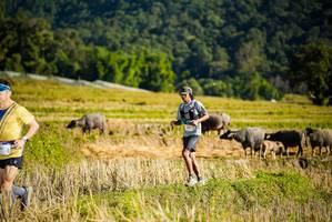 BIB: 
                            <button type="button" onclick="openModal(19127584)" class="btn btn-primary btn-sm float-right btn-popup" data-toggle="modal" data-target=".modal-high-quality">
                        <i class="fas fa-shopping-cart"></i> Add to Cart
                    </button>
                                            <button type="button" onclick="isThisMe(19127584, true)" class="btn btn-success btn-sm float-right btn-popup btn-isme hidden" data-toggle="tooltip" data-placement="bottom" title="นี่คือรูปของคุณใช่ไหม คลิกที่นี่เพื่อเอาเข้าอัลบั้ม">
                        <i class="fas fa-plus"></i> Add to album
                    </button>
                    <button type="button" onclick="isThisMe(19127584, false)" class="btn btn-warning btn-sm float-right btn-popup btn-isnotme hidden">
                        <i class="fas fa-ban"></i> Remove from album
                    </button>