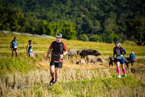 BIB: 
                            <button type="button" onclick="openModal(19128313)" class="btn btn-primary btn-sm float-right btn-popup" data-toggle="modal" data-target=".modal-high-quality">
                        <i class="fas fa-shopping-cart"></i> Add to Cart
                    </button>
                                            <button type="button" onclick="isThisMe(19128313, true)" class="btn btn-success btn-sm float-right btn-popup btn-isme hidden" data-toggle="tooltip" data-placement="bottom" title="นี่คือรูปของคุณใช่ไหม คลิกที่นี่เพื่อเอาเข้าอัลบั้ม">
                        <i class="fas fa-plus"></i> Add to album
                    </button>
                    <button type="button" onclick="isThisMe(19128313, false)" class="btn btn-warning btn-sm float-right btn-popup btn-isnotme hidden">
                        <i class="fas fa-ban"></i> Remove from album
                    </button>