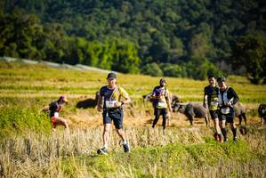 BIB: 1916
                            <button type="button" onclick="openModal(19127885)" class="btn btn-primary btn-sm float-right btn-popup" data-toggle="modal" data-target=".modal-high-quality">
                        <i class="fas fa-shopping-cart"></i> Add to Cart
                    </button>
                                            <button type="button" onclick="isThisMe(19127885, true)" class="btn btn-success btn-sm float-right btn-popup btn-isme hidden" data-toggle="tooltip" data-placement="bottom" title="นี่คือรูปของคุณใช่ไหม คลิกที่นี่เพื่อเอาเข้าอัลบั้ม">
                        <i class="fas fa-plus"></i> Add to album
                    </button>
                    <button type="button" onclick="isThisMe(19127885, false)" class="btn btn-warning btn-sm float-right btn-popup btn-isnotme hidden">
                        <i class="fas fa-ban"></i> Remove from album
                    </button>