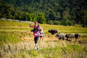 BIB: 
                            <button type="button" onclick="openModal(19128272)" class="btn btn-primary btn-sm float-right btn-popup" data-toggle="modal" data-target=".modal-high-quality">
                        <i class="fas fa-shopping-cart"></i> Add to Cart
                    </button>
                                            <button type="button" onclick="isThisMe(19128272, true)" class="btn btn-success btn-sm float-right btn-popup btn-isme hidden" data-toggle="tooltip" data-placement="bottom" title="นี่คือรูปของคุณใช่ไหม คลิกที่นี่เพื่อเอาเข้าอัลบั้ม">
                        <i class="fas fa-plus"></i> Add to album
                    </button>
                    <button type="button" onclick="isThisMe(19128272, false)" class="btn btn-warning btn-sm float-right btn-popup btn-isnotme hidden">
                        <i class="fas fa-ban"></i> Remove from album
                    </button>