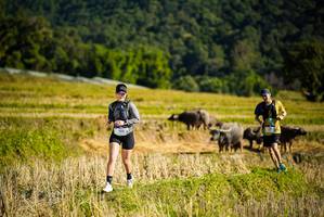 BIB: 1515
                            <button type="button" onclick="openModal(19128263)" class="btn btn-primary btn-sm float-right btn-popup" data-toggle="modal" data-target=".modal-high-quality">
                        <i class="fas fa-shopping-cart"></i> Add to Cart
                    </button>
                                            <button type="button" onclick="isThisMe(19128263, true)" class="btn btn-success btn-sm float-right btn-popup btn-isme hidden" data-toggle="tooltip" data-placement="bottom" title="นี่คือรูปของคุณใช่ไหม คลิกที่นี่เพื่อเอาเข้าอัลบั้ม">
                        <i class="fas fa-plus"></i> Add to album
                    </button>
                    <button type="button" onclick="isThisMe(19128263, false)" class="btn btn-warning btn-sm float-right btn-popup btn-isnotme hidden">
                        <i class="fas fa-ban"></i> Remove from album
                    </button>