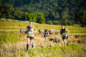 BIB: 1516
                            <button type="button" onclick="openModal(19127474)" class="btn btn-primary btn-sm float-right btn-popup" data-toggle="modal" data-target=".modal-high-quality">
                        <i class="fas fa-shopping-cart"></i> Add to Cart
                    </button>
                                            <button type="button" onclick="isThisMe(19127474, true)" class="btn btn-success btn-sm float-right btn-popup btn-isme hidden" data-toggle="tooltip" data-placement="bottom" title="นี่คือรูปของคุณใช่ไหม คลิกที่นี่เพื่อเอาเข้าอัลบั้ม">
                        <i class="fas fa-plus"></i> Add to album
                    </button>
                    <button type="button" onclick="isThisMe(19127474, false)" class="btn btn-warning btn-sm float-right btn-popup btn-isnotme hidden">
                        <i class="fas fa-ban"></i> Remove from album
                    </button>