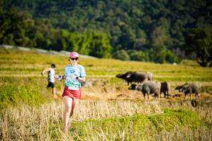 BIB: 
                            <button type="button" onclick="openModal(19127736)" class="btn btn-primary btn-sm float-right btn-popup" data-toggle="modal" data-target=".modal-high-quality">
                        <i class="fas fa-shopping-cart"></i> Add to Cart
                    </button>
                                            <button type="button" onclick="isThisMe(19127736, true)" class="btn btn-success btn-sm float-right btn-popup btn-isme hidden" data-toggle="tooltip" data-placement="bottom" title="นี่คือรูปของคุณใช่ไหม คลิกที่นี่เพื่อเอาเข้าอัลบั้ม">
                        <i class="fas fa-plus"></i> Add to album
                    </button>
                    <button type="button" onclick="isThisMe(19127736, false)" class="btn btn-warning btn-sm float-right btn-popup btn-isnotme hidden">
                        <i class="fas fa-ban"></i> Remove from album
                    </button>