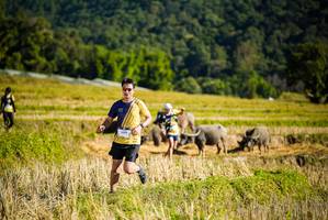 BIB: 1004
                            <button type="button" onclick="openModal(19127965)" class="btn btn-primary btn-sm float-right btn-popup" data-toggle="modal" data-target=".modal-high-quality">
                        <i class="fas fa-shopping-cart"></i> Add to Cart
                    </button>
                                            <button type="button" onclick="isThisMe(19127965, true)" class="btn btn-success btn-sm float-right btn-popup btn-isme hidden" data-toggle="tooltip" data-placement="bottom" title="นี่คือรูปของคุณใช่ไหม คลิกที่นี่เพื่อเอาเข้าอัลบั้ม">
                        <i class="fas fa-plus"></i> Add to album
                    </button>
                    <button type="button" onclick="isThisMe(19127965, false)" class="btn btn-warning btn-sm float-right btn-popup btn-isnotme hidden">
                        <i class="fas fa-ban"></i> Remove from album
                    </button>