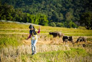 BIB: 
                            <button type="button" onclick="openModal(19127828)" class="btn btn-primary btn-sm float-right btn-popup" data-toggle="modal" data-target=".modal-high-quality">
                        <i class="fas fa-shopping-cart"></i> Add to Cart
                    </button>
                                            <button type="button" onclick="isThisMe(19127828, true)" class="btn btn-success btn-sm float-right btn-popup btn-isme hidden" data-toggle="tooltip" data-placement="bottom" title="นี่คือรูปของคุณใช่ไหม คลิกที่นี่เพื่อเอาเข้าอัลบั้ม">
                        <i class="fas fa-plus"></i> Add to album
                    </button>
                    <button type="button" onclick="isThisMe(19127828, false)" class="btn btn-warning btn-sm float-right btn-popup btn-isnotme hidden">
                        <i class="fas fa-ban"></i> Remove from album
                    </button>