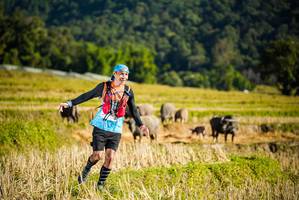 BIB: 
                            <button type="button" onclick="openModal(19127456)" class="btn btn-primary btn-sm float-right btn-popup" data-toggle="modal" data-target=".modal-high-quality">
                        <i class="fas fa-shopping-cart"></i> Add to Cart
                    </button>
                                            <button type="button" onclick="isThisMe(19127456, true)" class="btn btn-success btn-sm float-right btn-popup btn-isme hidden" data-toggle="tooltip" data-placement="bottom" title="นี่คือรูปของคุณใช่ไหม คลิกที่นี่เพื่อเอาเข้าอัลบั้ม">
                        <i class="fas fa-plus"></i> Add to album
                    </button>
                    <button type="button" onclick="isThisMe(19127456, false)" class="btn btn-warning btn-sm float-right btn-popup btn-isnotme hidden">
                        <i class="fas fa-ban"></i> Remove from album
                    </button>